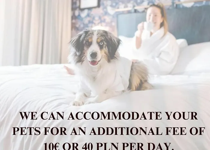 Lumina Premium With Parking * Łódź